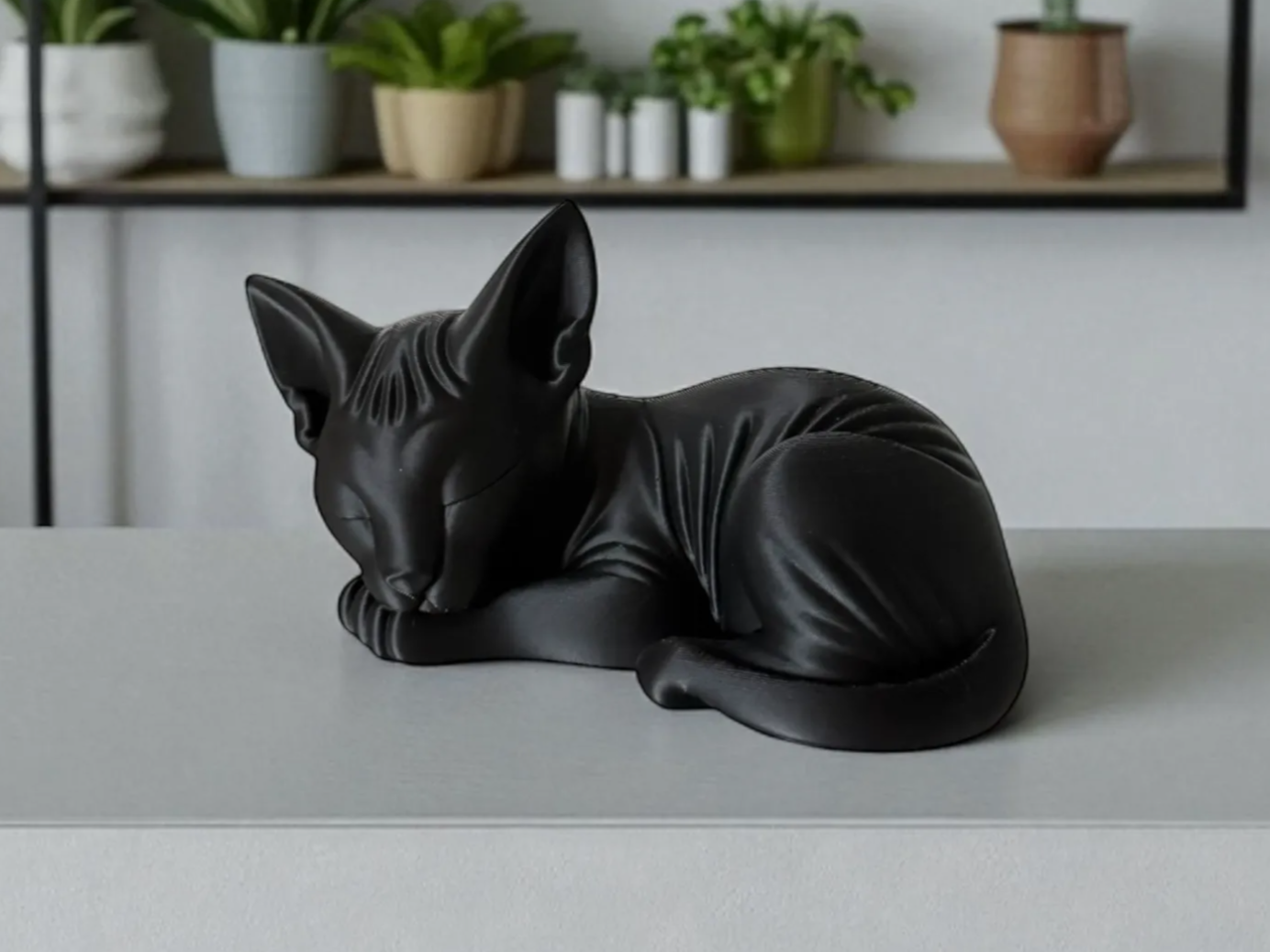 Cute Sphynx