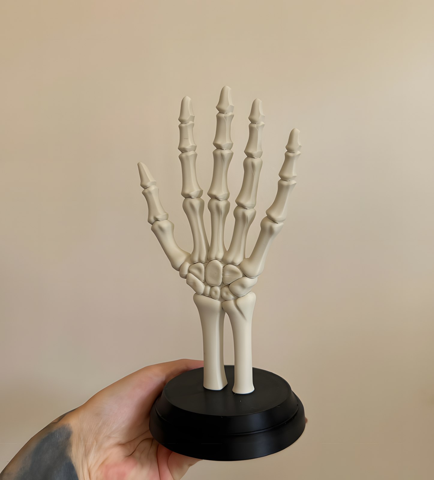 Skeleton Hand