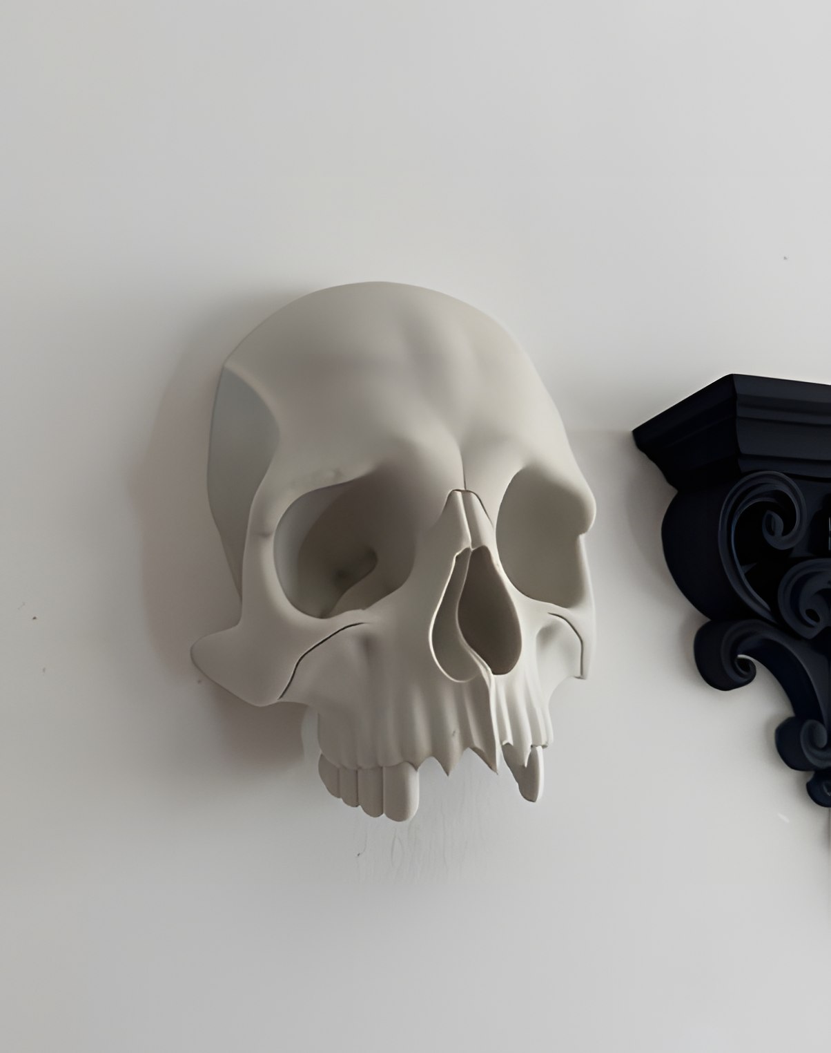 Skull with Hidden Compartment