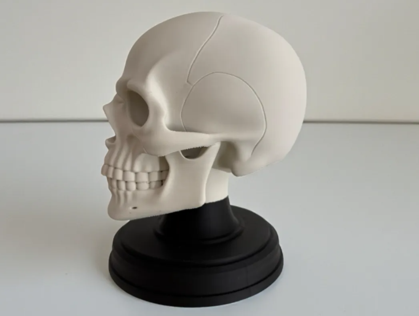 Skull Stand